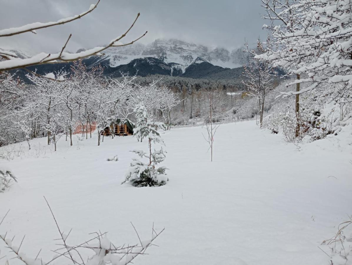 Cava Cal Ferrer Habitatge Ruralヴィラ エクステリア 写真