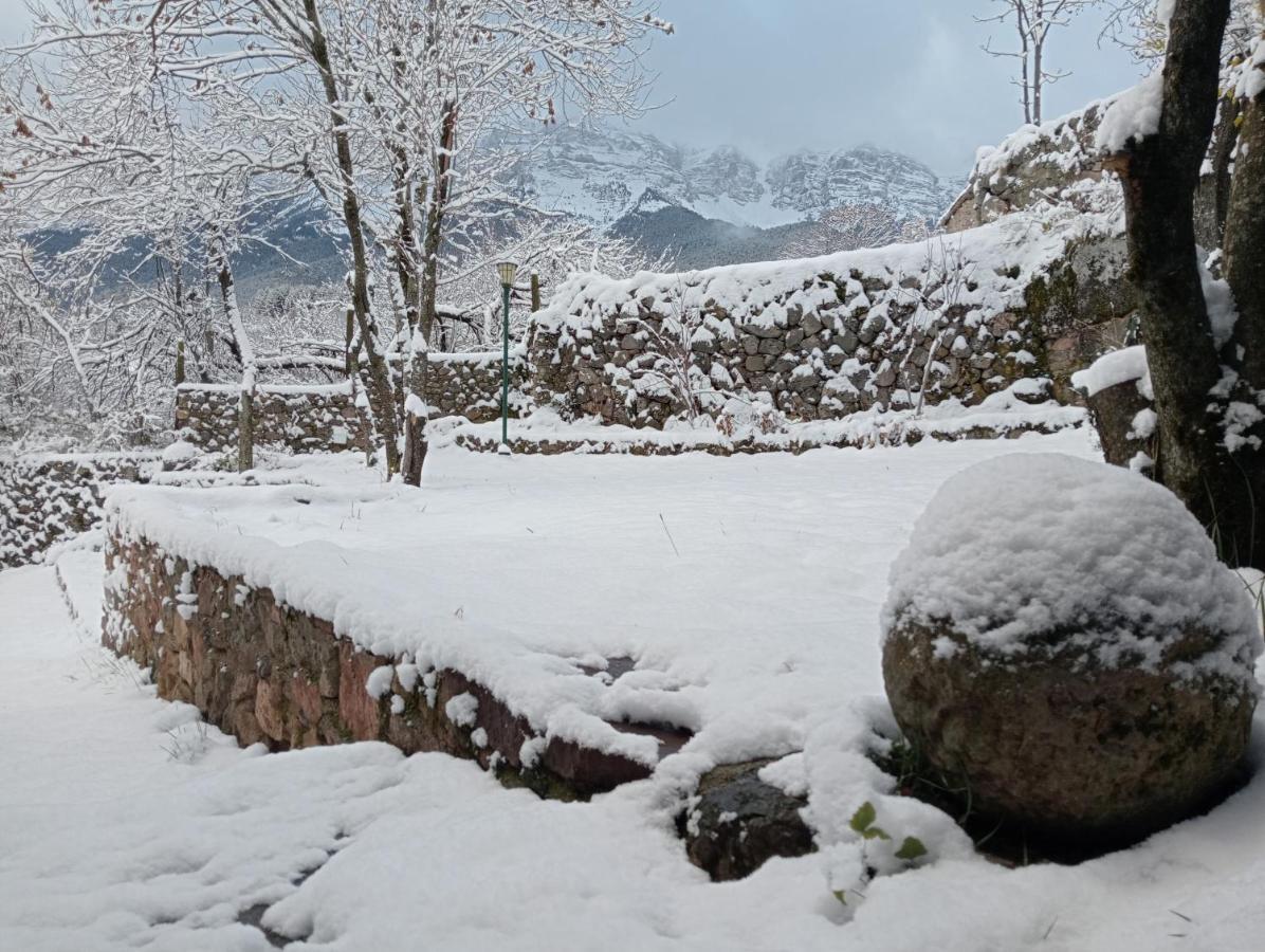Cava Cal Ferrer Habitatge Ruralヴィラ エクステリア 写真